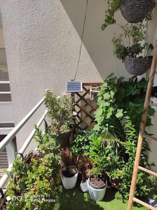 Appartement Cosy Et Calme Dugny Eksteriør billede